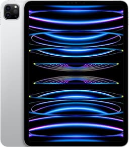 iPad Pro 11 4th Gen (WiFi+Cellular)
